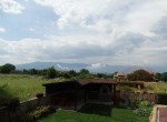 DSC01022 (1)